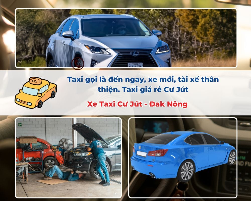 Quy Trình Đặt Xe Đi Du Lịch Tại Taxi Cư Jút