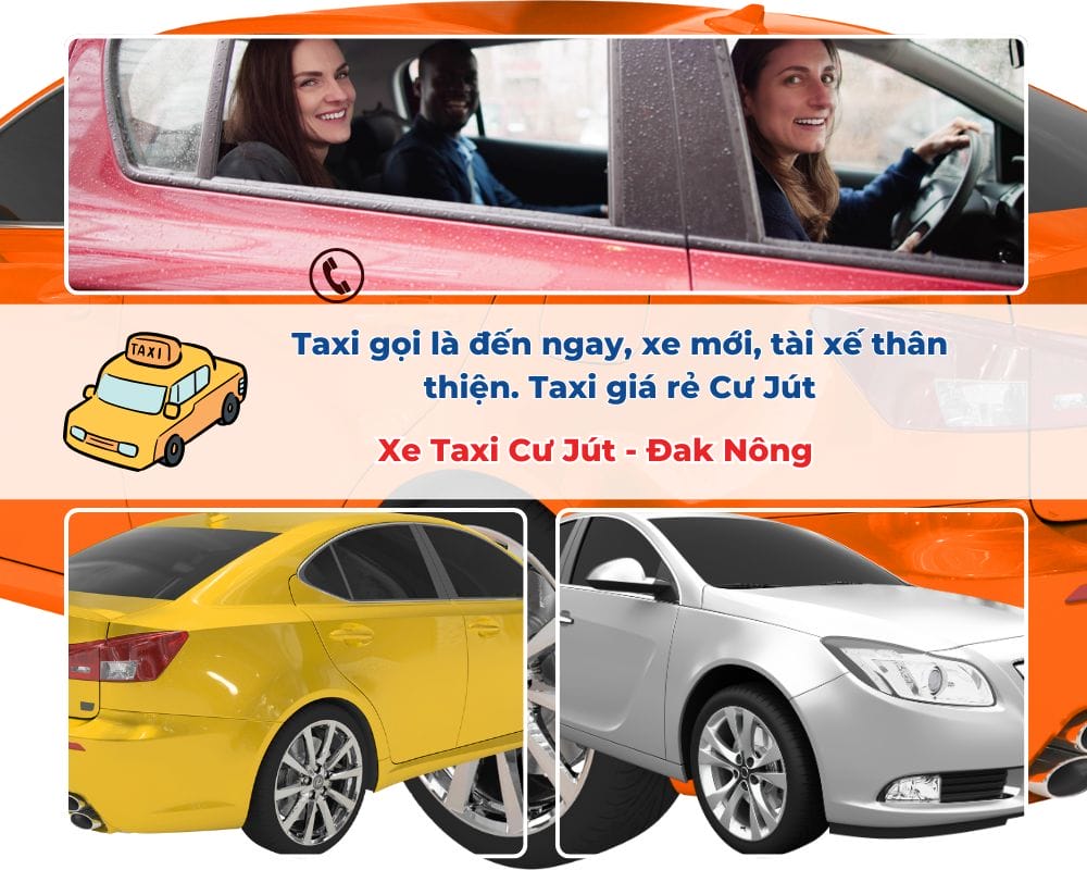 Các Lựa Chọn Thuê Xe Du Lịch
