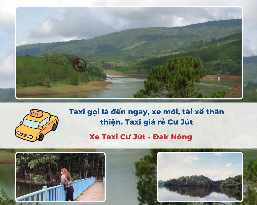 Các hoạt động hấp dẫn tại Hồ Trúc Cư Jút
