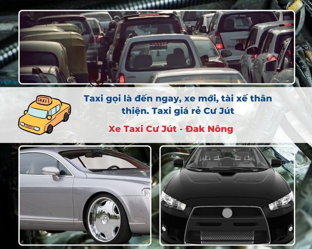 Bạn cần tìm dịch vụ lái xe hộ tại Cư Jút – Đắk Nông?