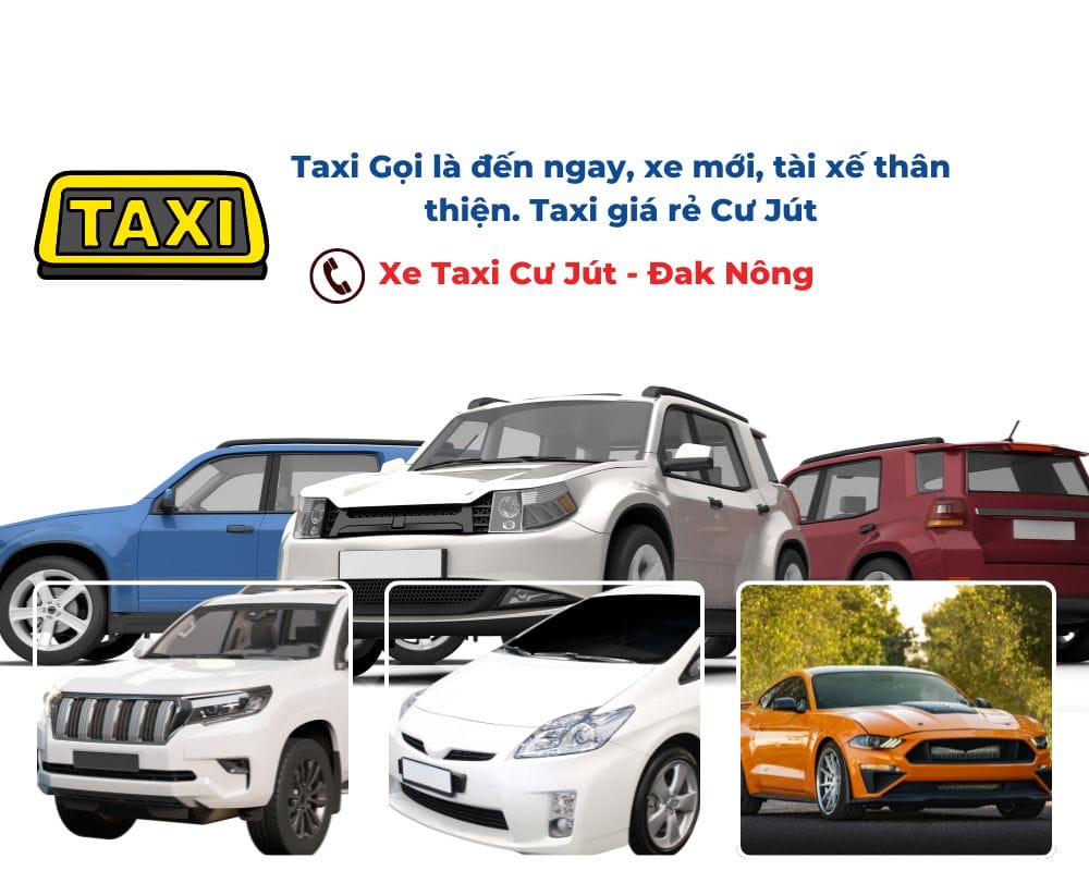 Tại sao nên thuê xe Taxi Cư Jút đi Chùa Huệ Đức?