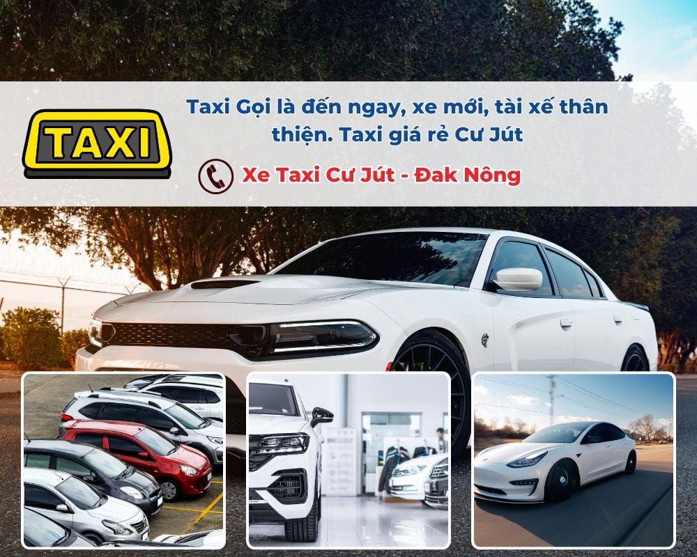 Các yếu tố ảnh hưởng đến giá cước