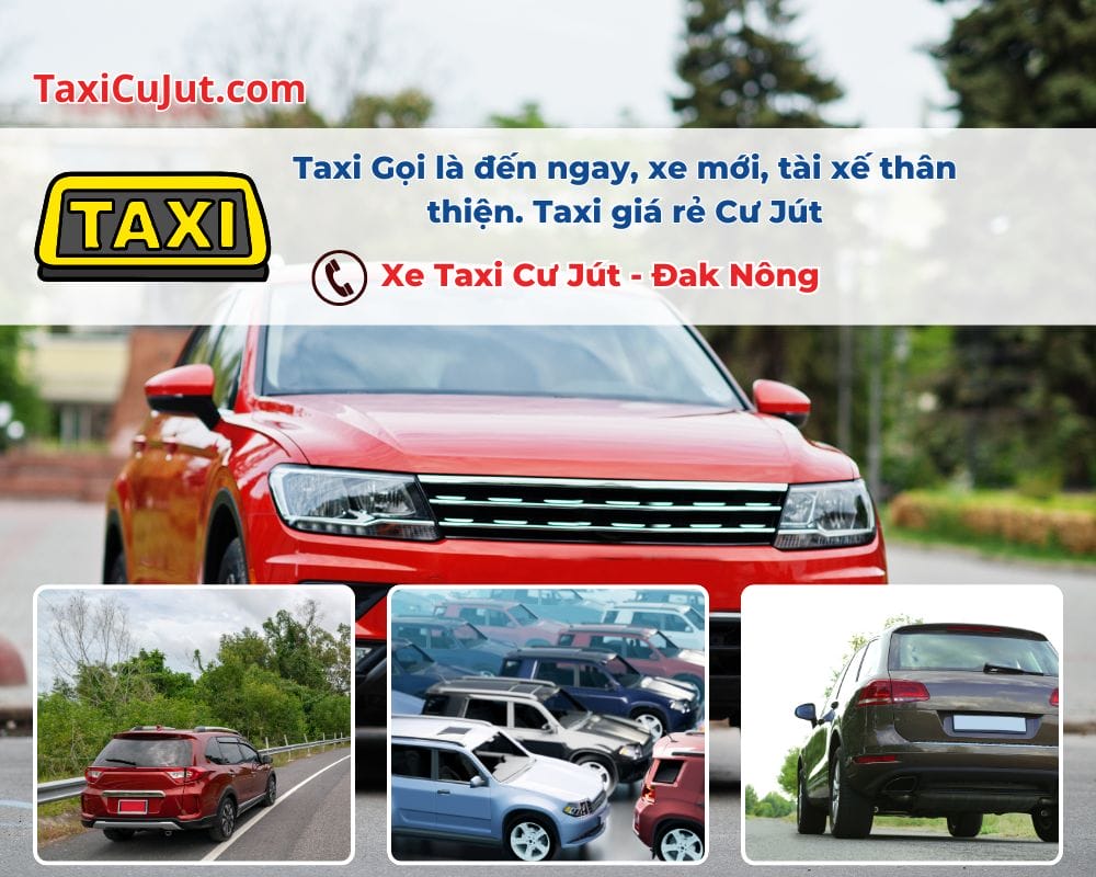 Tại sao nên chọn Taxi Cư Jút?