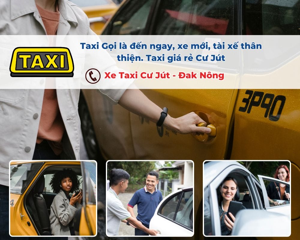 Tại sao nên thuê xe Taxi Cư Jút đi Quán Nhậu Hải Sản Cư Jút?