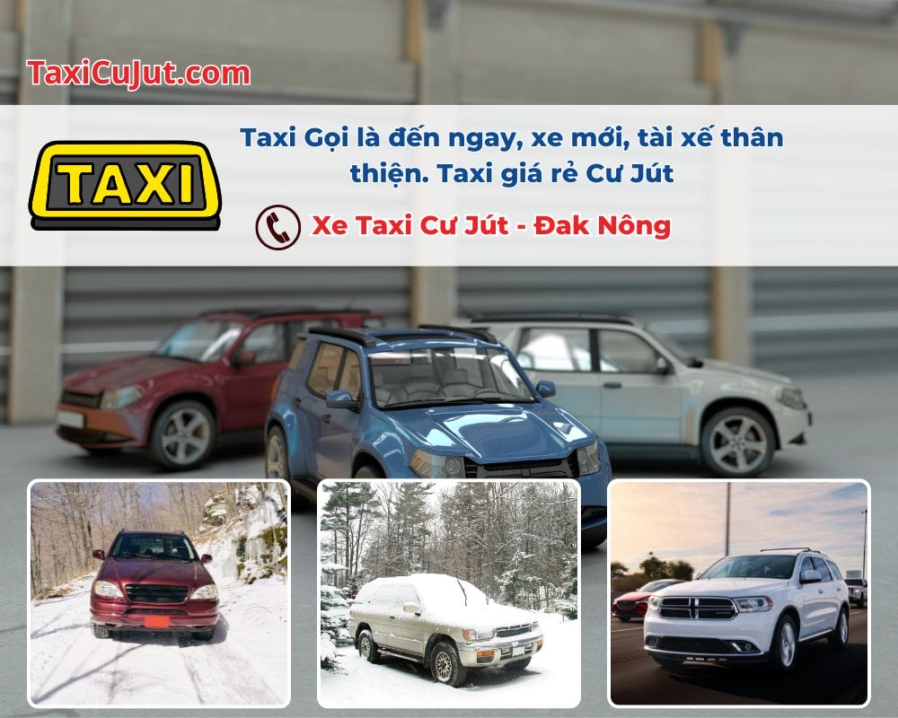 Cách thuê xe Taxi Cư Jút