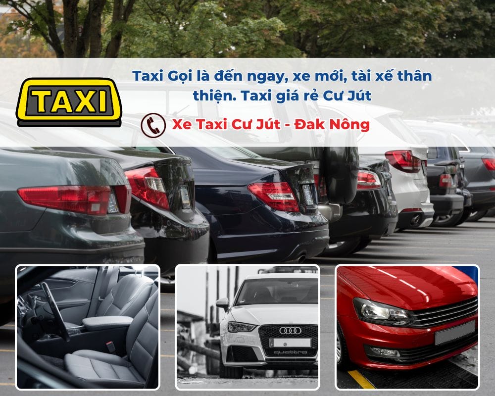 Tại sao nên thuê xe Taxi Cư Jút đi Khu sinh thái Hồ Bảo Lộc?