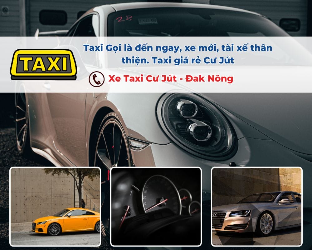 Tại sao nên thuê xe Taxi Cư Jút đi Vườn Quốc gia Tà Đùng?