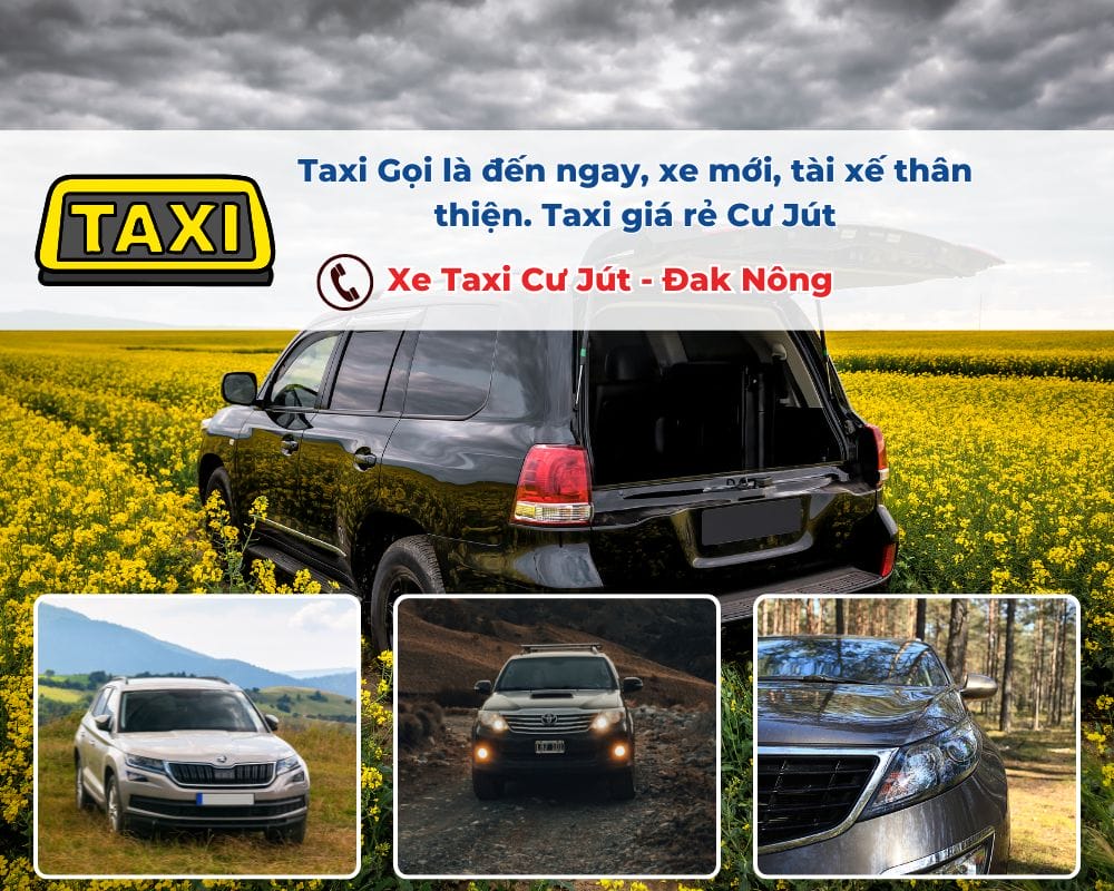 Tại sao nên chọn Taxi Cư Jút?