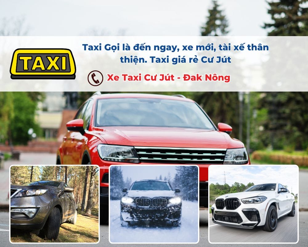 Các yếu tố ảnh hưởng đến giá cước