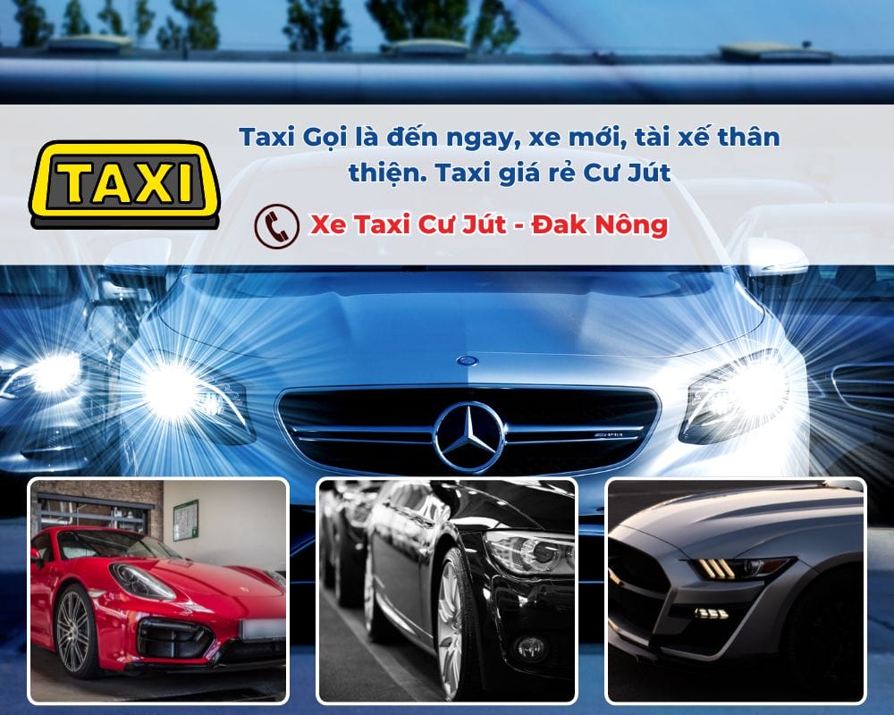 Các yếu tố ảnh hưởng đến giá cước