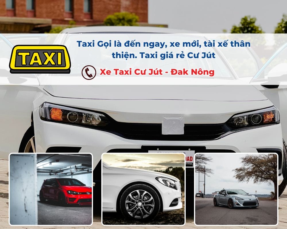 Tại sao nên thuê xe Taxi Cư Jút đi Đồi Cỏ Cháy?