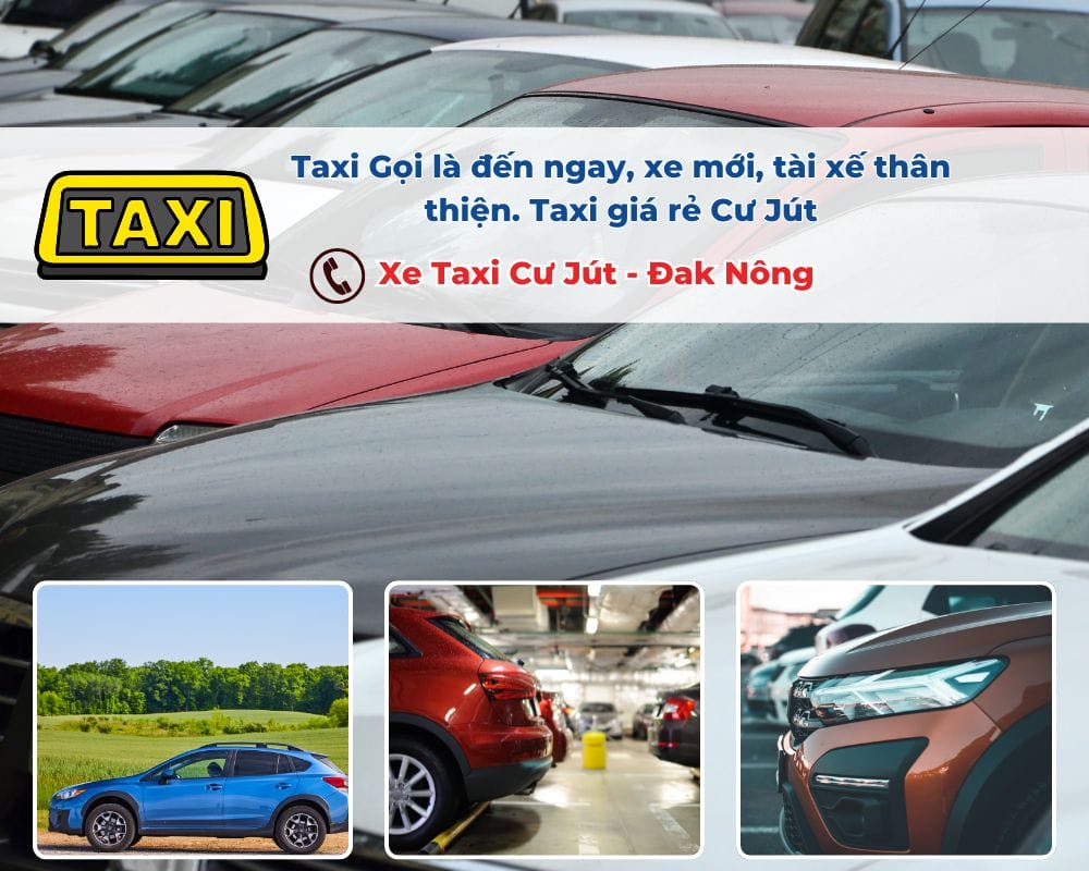 Các yếu tố ảnh hưởng đến giá cước