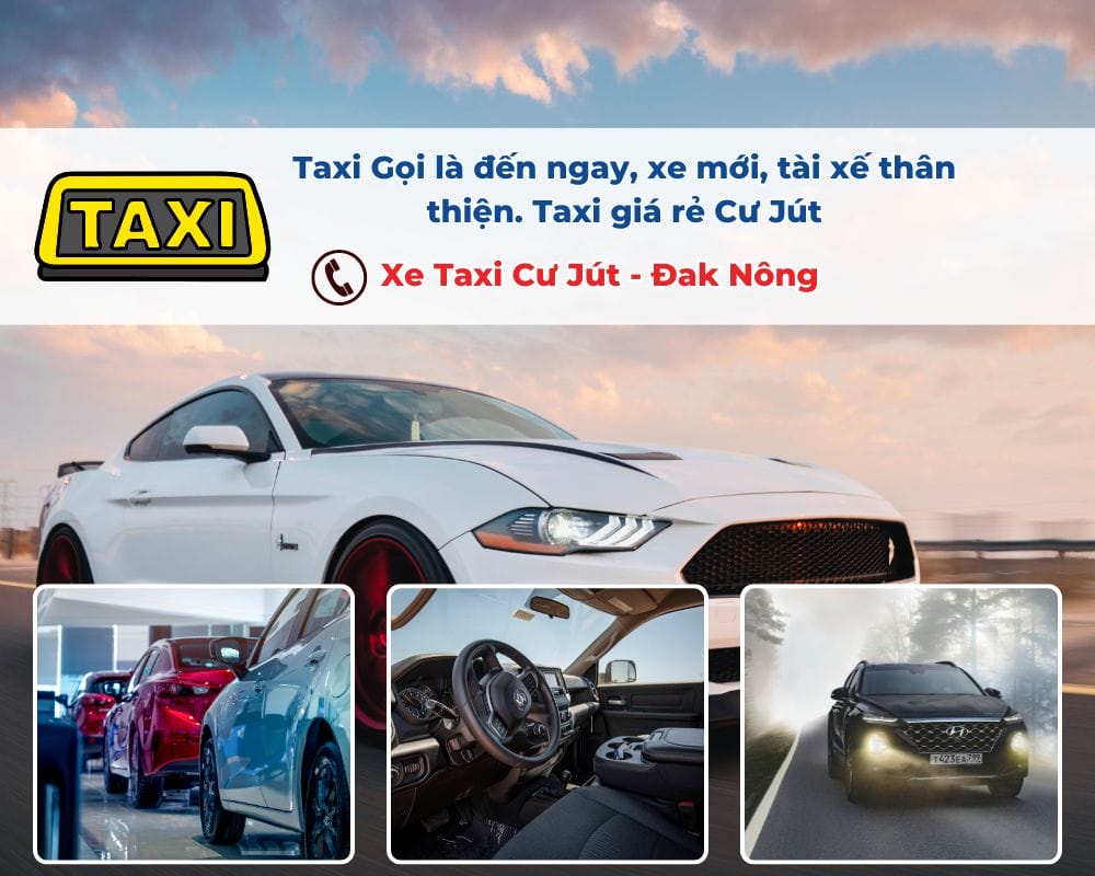 Các yếu tố ảnh hưởng đến giá cước