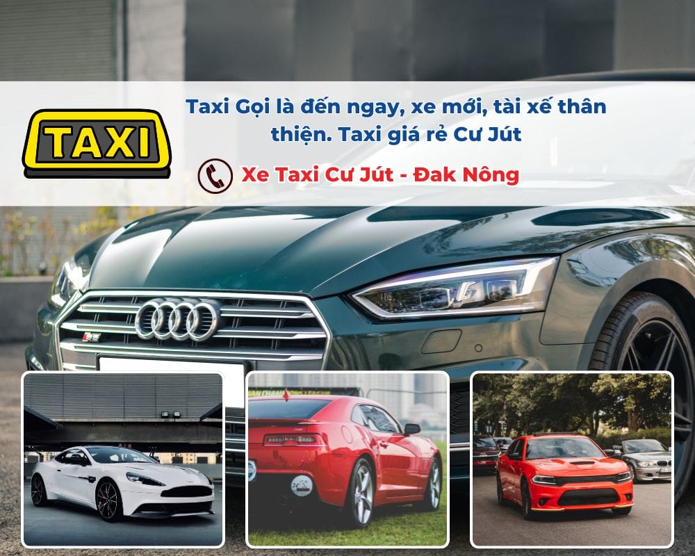 Làm thế nào để đặt xe Taxi Cư Jút tại đường Nguyễn Trãi?