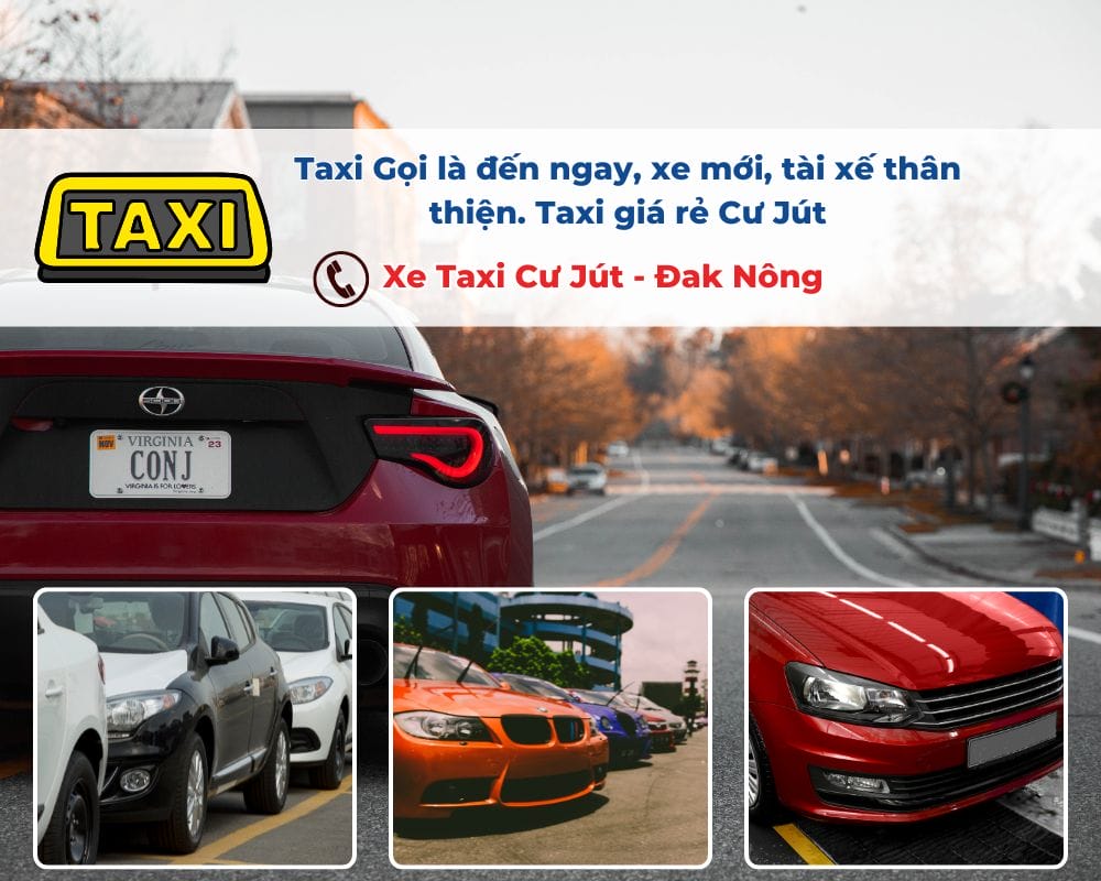 Thuê Xe Taxi Cư Jút, Đắk Nông tham quan Đồi Cỏ Cháy